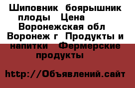 Шиповник, боярышник плоды › Цена ­ 210 - Воронежская обл., Воронеж г. Продукты и напитки » Фермерские продукты   